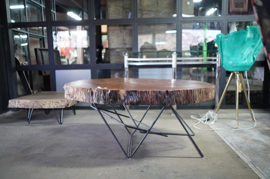Eucalyptus Saligna Ellipse Thick Wooden Top Coffee Table