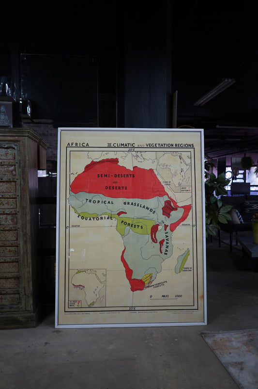 Africa Vegetation Regions Map Framed with Glass